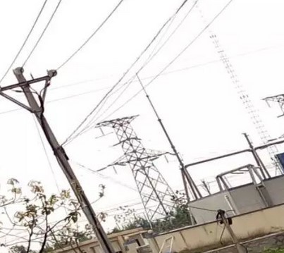 看看這些電力人的春季巡檢！