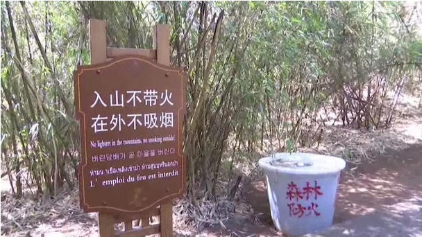 贊！雞足山景區(qū)連續(xù)35年無森林火災(zāi)，因為他們...