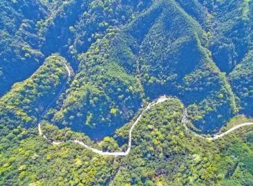 智能化，讓森林防火監(jiān)控管護(hù)更“智慧”
